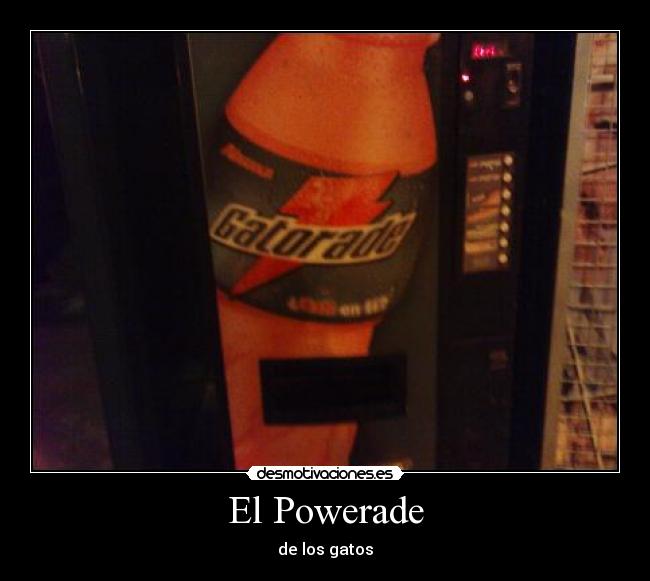 El Powerade - de los gatos