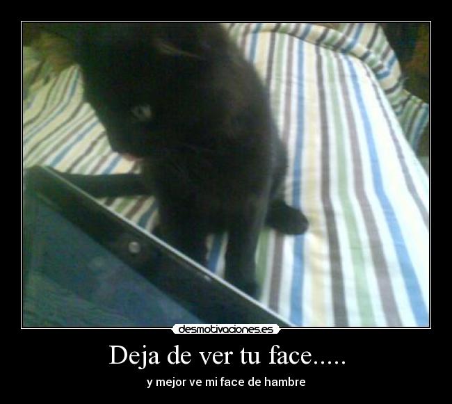 carteles comer gatos computadora facebook desmotivaciones