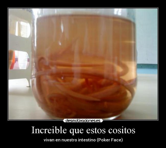 carteles cositos desmotivaciones