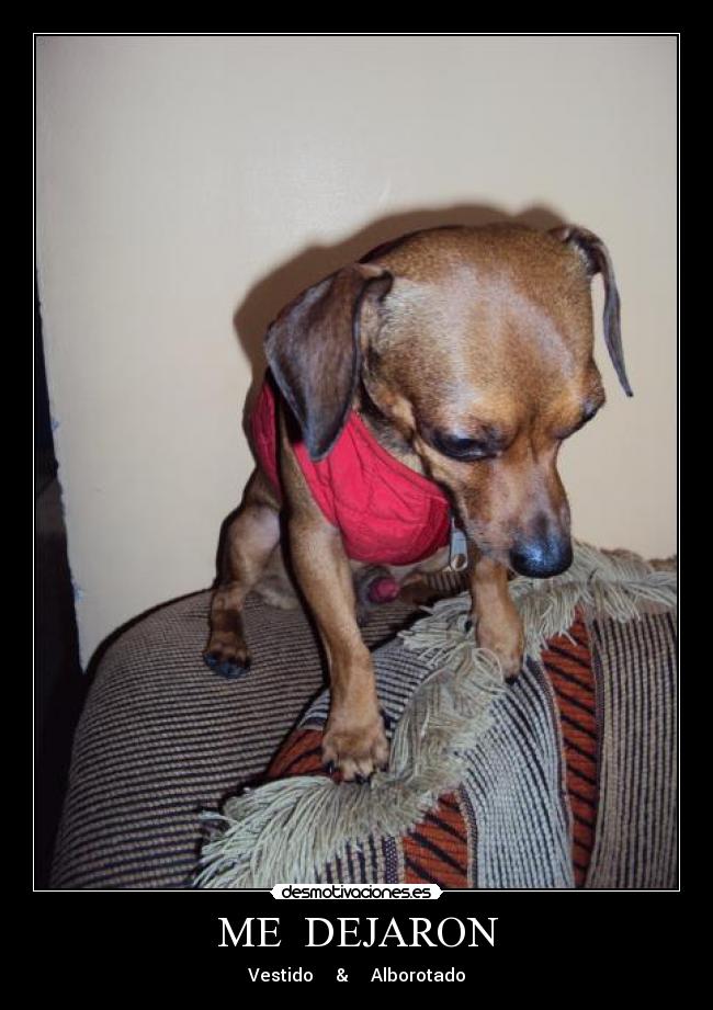 carteles pipo desmotivaciones