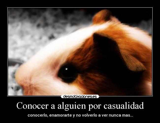 Conocer a alguien por casualidad -