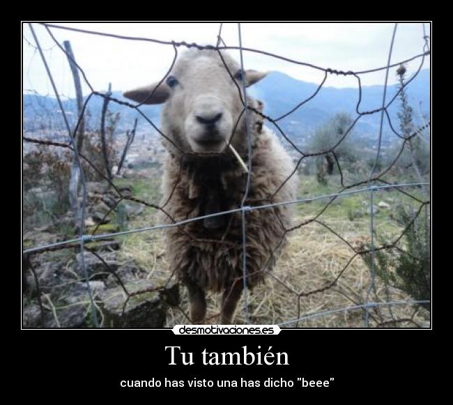Tu también - cuando has visto una has dicho beee