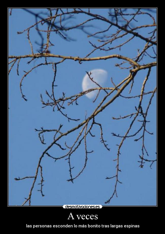 carteles missindependent desmotivaciones