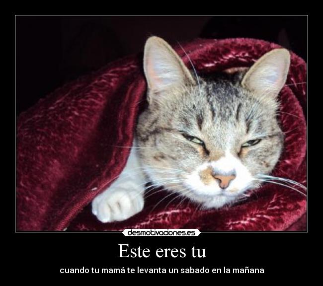 Este eres tu - cuando tu mamá te levanta un sabado en la mañana