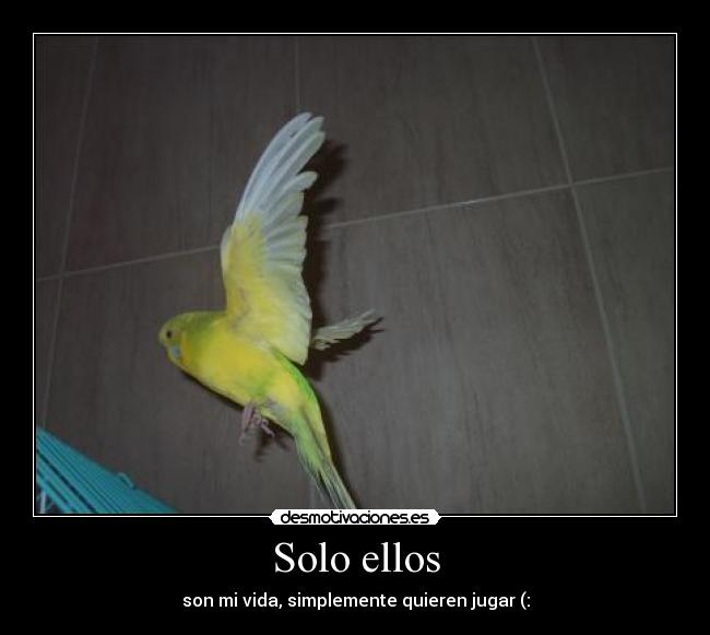 Solo ellos -