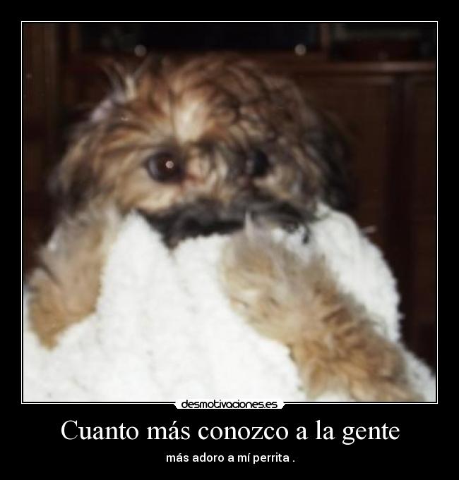 Cuanto más conozco a la gente - más adoro a mí perrita .