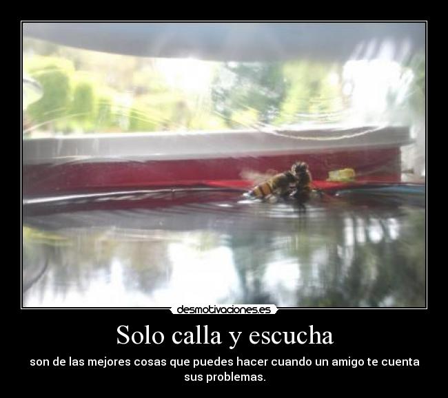 Solo calla y escucha - 