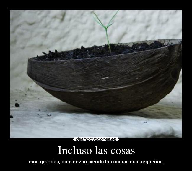 Incluso las cosas - 