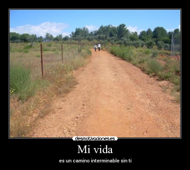 Mi vida - 