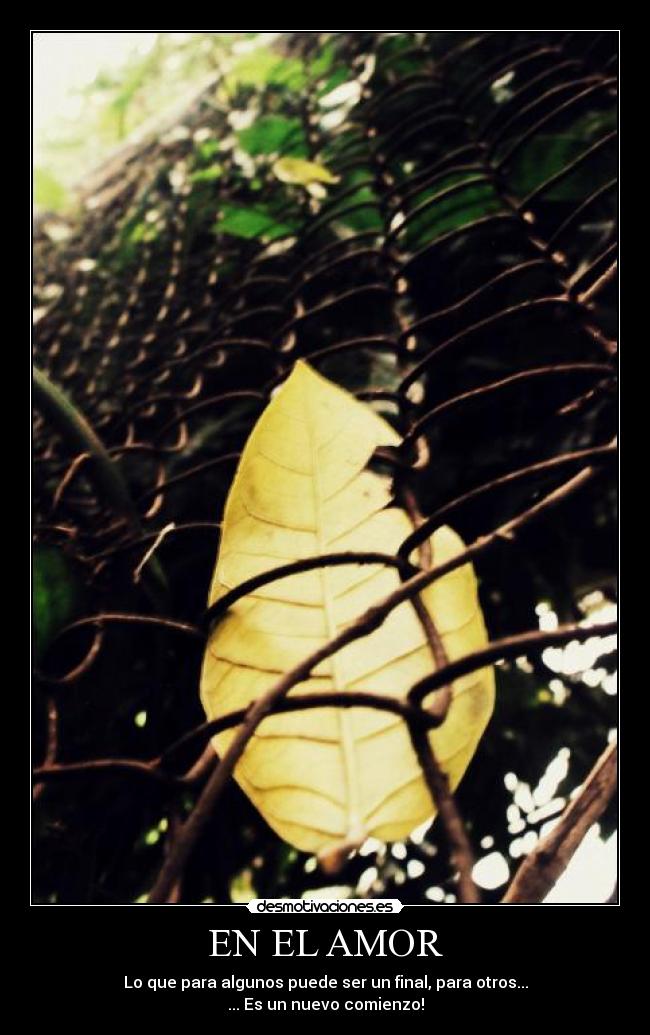 EN EL AMOR - Lo que para algunos puede ser un final, para otros...
... Es un nuevo comienzo!