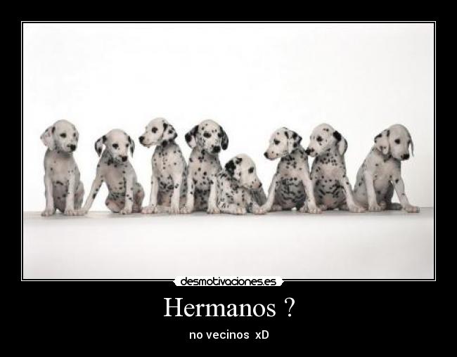 Hermanos ? - 