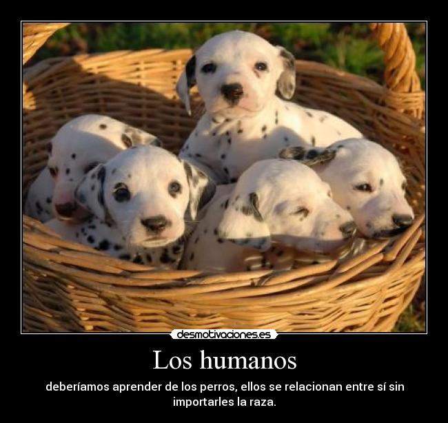 Los humanos -