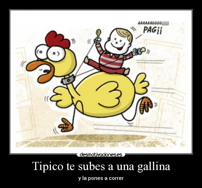 Tipico te subes a una gallina -