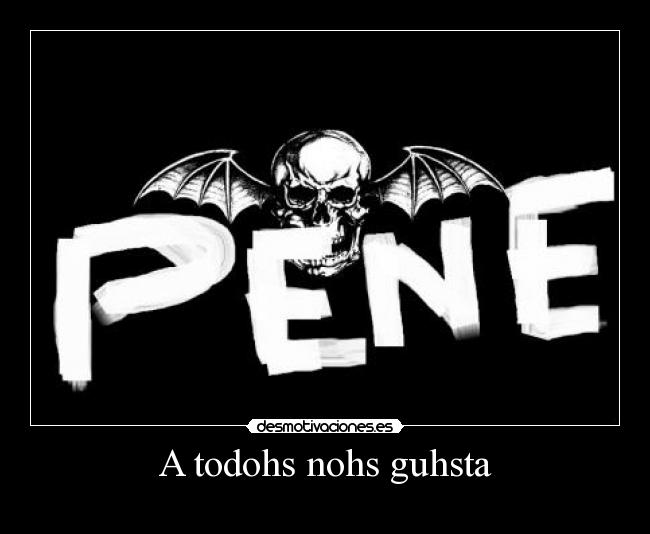 A todohs nohs guhsta -