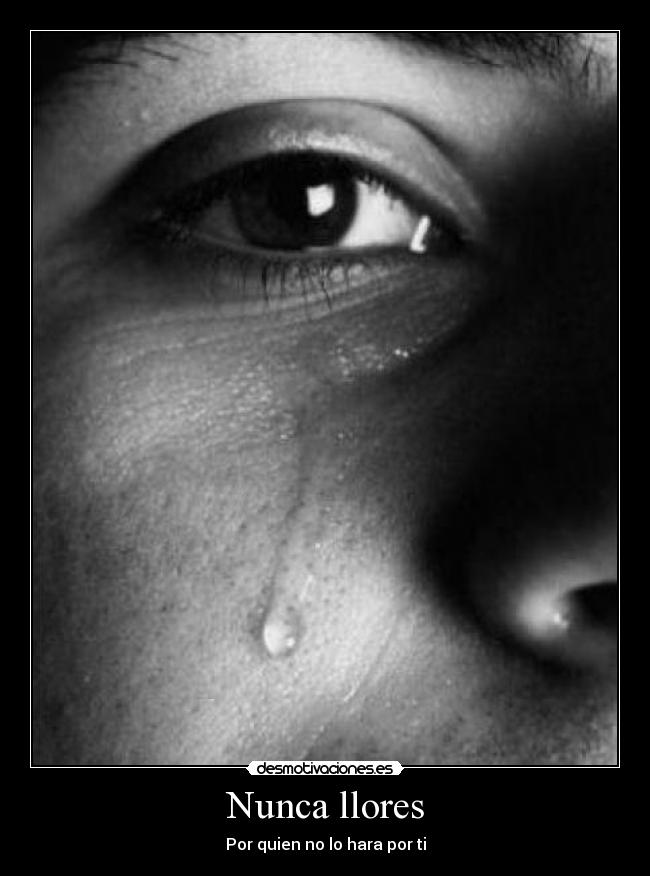 Nunca llores - Por quien no lo hara por ti