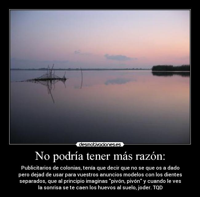 No podría tener más razón: - Publicitarios de colonias, tenía que decir que no se que os a dado
pero dejad de usar para vuestros anuncios modelos con los dientes
separados, que al principio imaginas pivón, pivón y cuando le ves
la sonrisa se te caen los huevos al suelo, joder. TQD