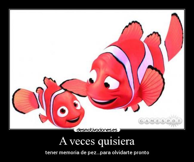 A veces quisiera - tener memoria de pez...para olvidarte pronto