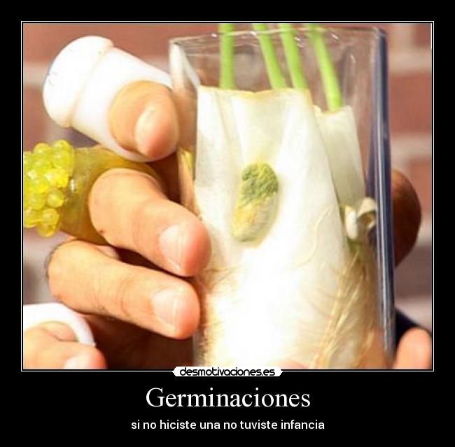 Germinaciones - si no hiciste una no tuviste infancia