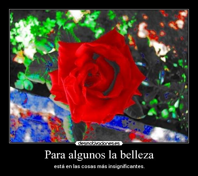 carteles miguel100one clanantifas kaf 0o0o0o0o0o0o0o0o0o0o0 challengeacceptedd pone burro anonymous desmotivaciones