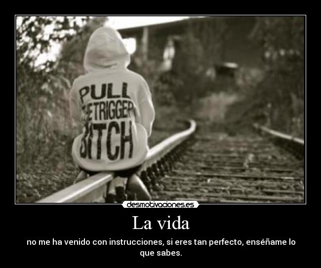 La vida - no me ha venido con instrucciones, si eres tan perfecto, enséñame lo que sabes.