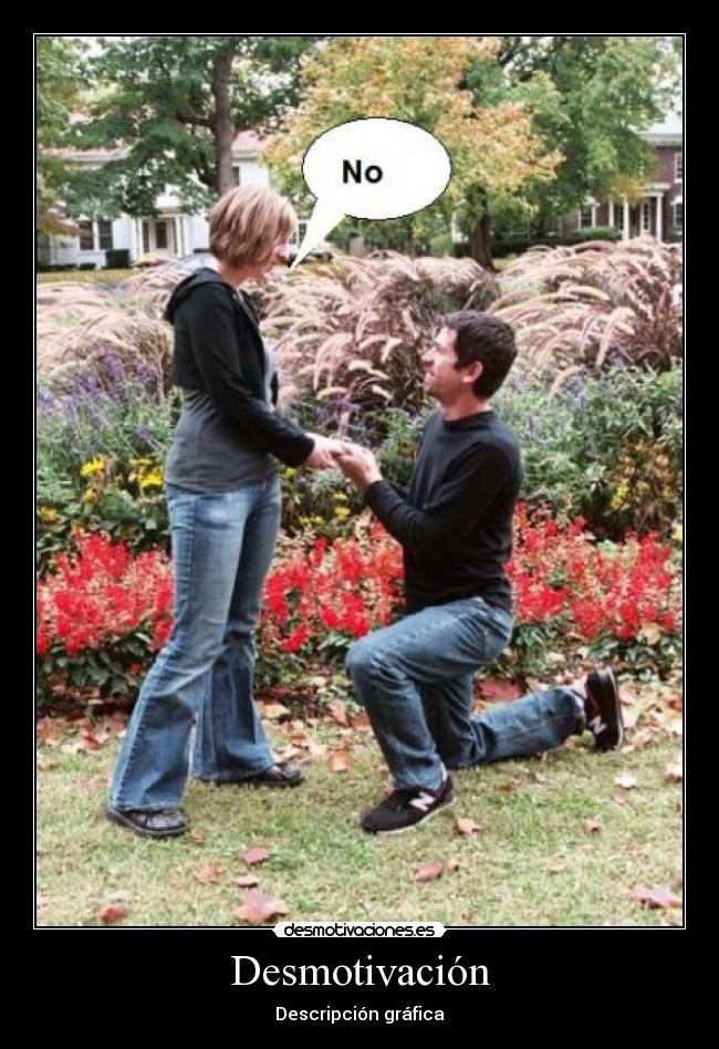 Desmotivación - Descripción gráfica