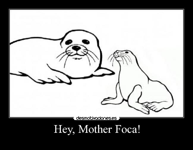 Hey, Mother Foca! - 