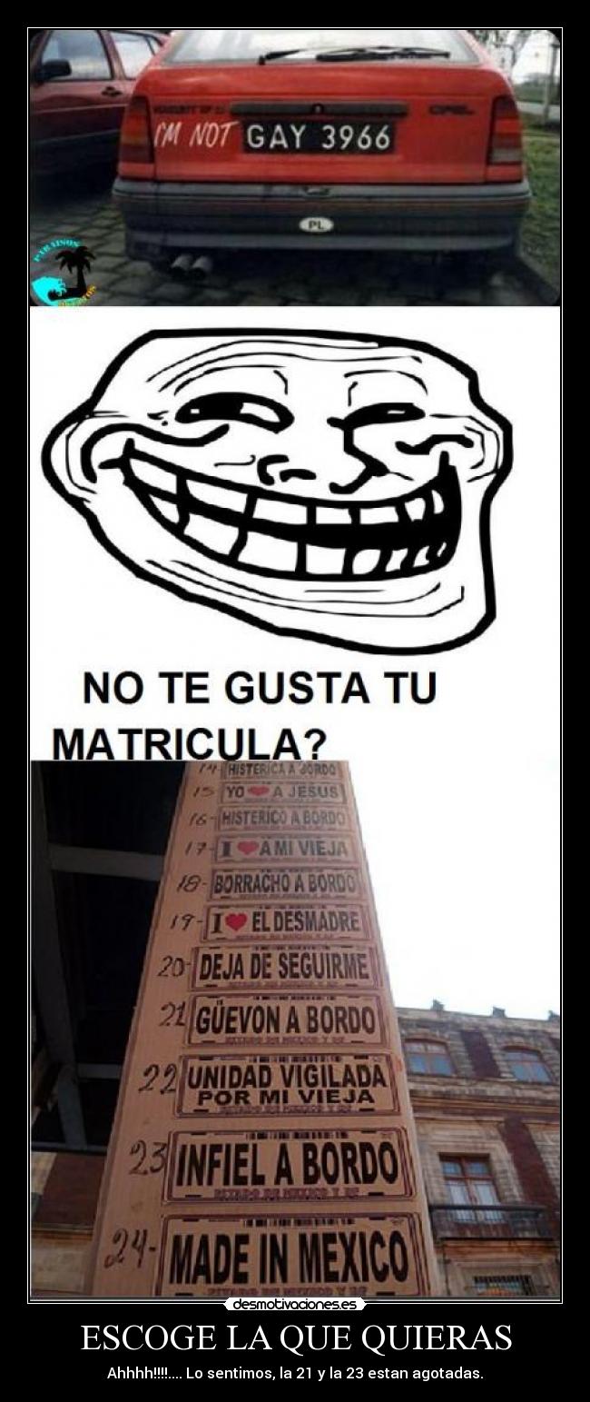 ESCOGE LA QUE QUIERAS -