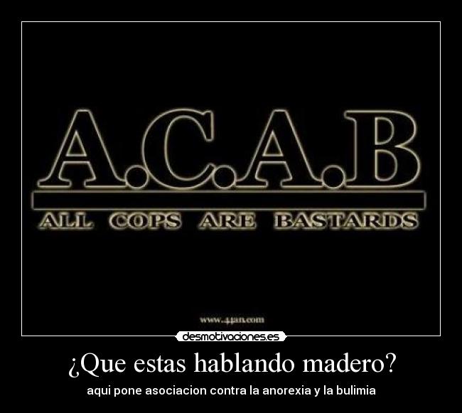 ¿Que estas hablando madero? -