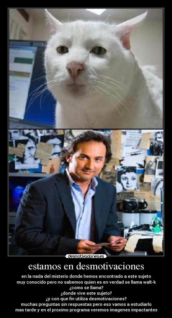 estamos en desmotivaciones - en la nada del misterio donde hemos encontrado a este sujeto
muy conocido pero no sabemos quien es en verdad se llama walt-k
¿como se llama?
¿donde vive este sujeto?
¿y con que fin utiliza desmotivaciones?
muchas preguntas sin respuestas pero eso vamos a estudiarlo
mas tarde y en el proximo programa veremos imagenes impactantes