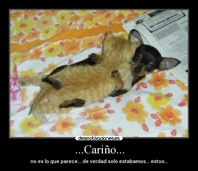 ...Cariño... - no es lo que parece... de verdad solo estabamos... estoo...