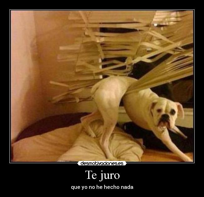 Te juro - que yo no he hecho nada