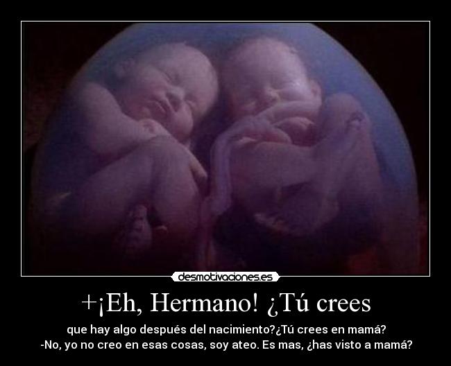 +¡Eh, Hermano! ¿Tú crees - que hay algo después del nacimiento?¿Tú crees en mamá?
-No, yo no creo en esas cosas, soy ateo. Es mas, ¿has visto a mamá?