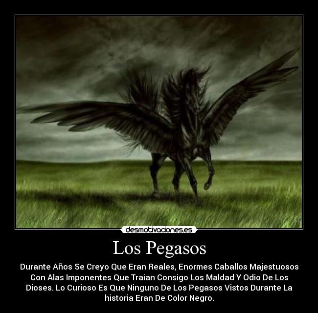 Los Pegasos -