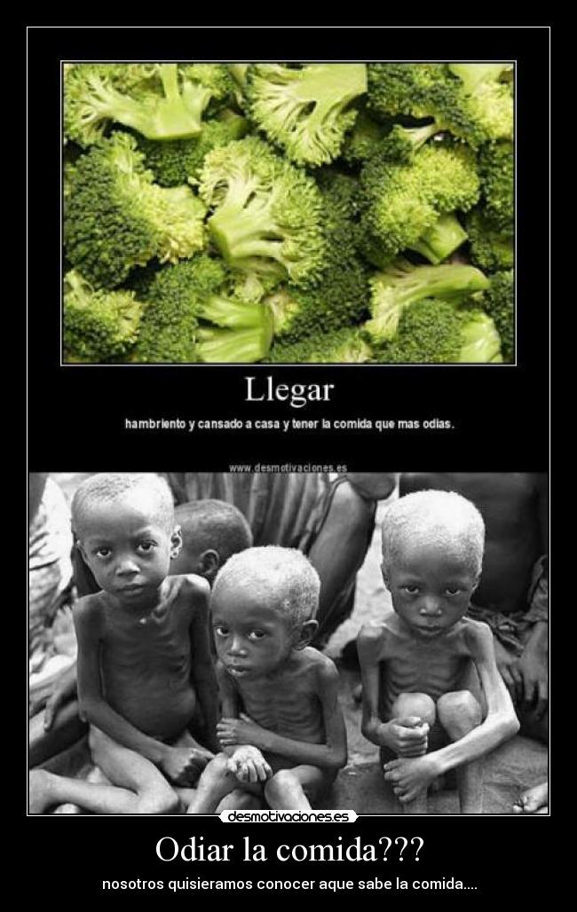 Odiar la comida??? -