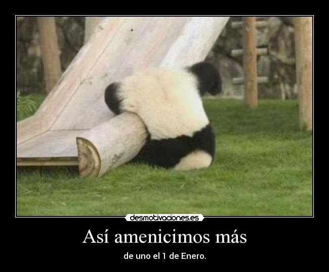 Así amenicimos más - de uno el 1 de Enero.