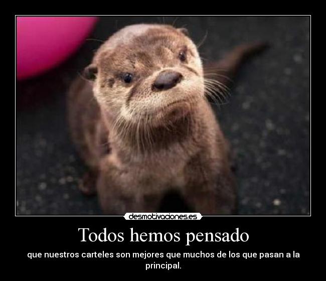 Todos hemos pensado - que nuestros carteles son mejores que muchos de los que pasan a la principal.