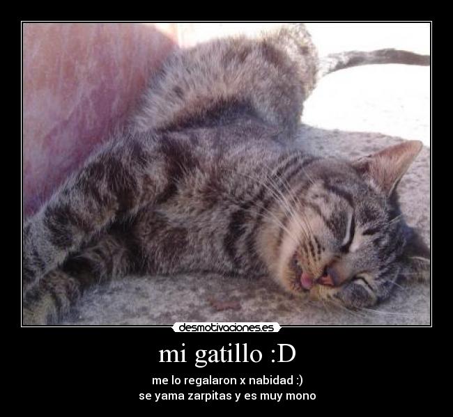 mi gatillo :D - me lo regalaron x nabidad :)
se yama zarpitas y es muy mono