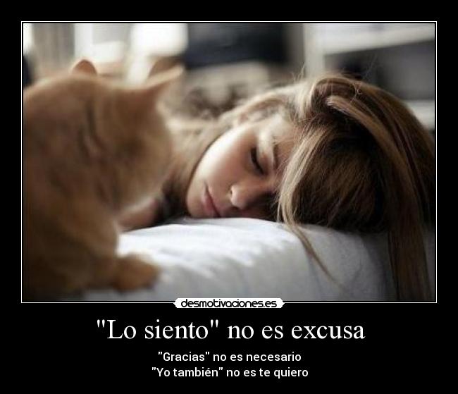 Lo siento no es excusa - 