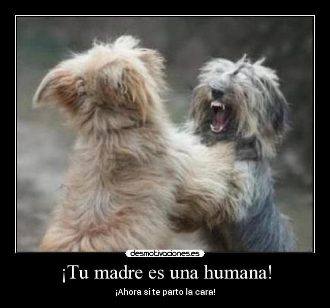 ¡Tu madre es una humana! - 