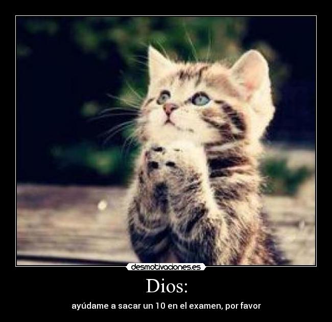 carteles dios love zelda desmotivaciones