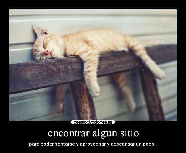 encontrar algun sitio - para poder sentarse y aprovechar y descansar un poco...