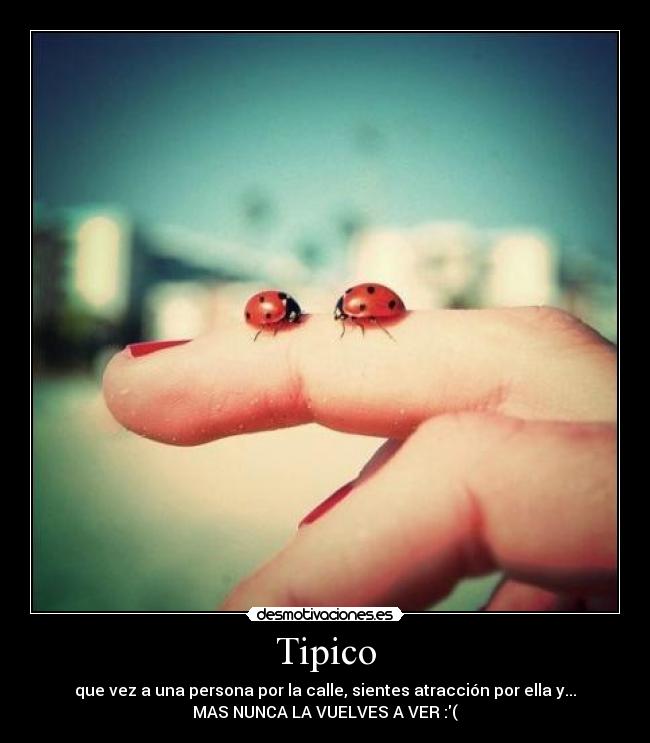 Tipico - 
