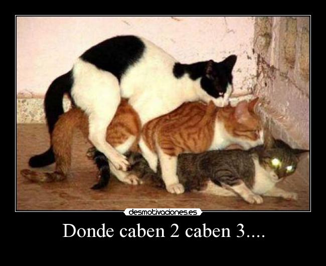 Donde caben 2 caben 3.... - 