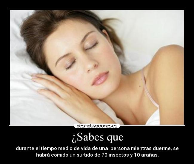 carteles dormir insectos aranas desmotivaciones