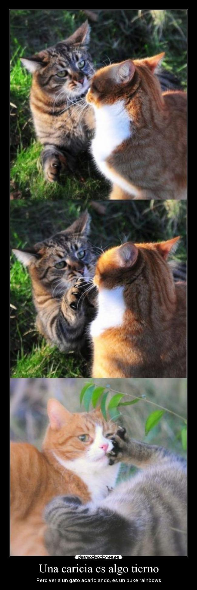 Una caricia es algo tierno -