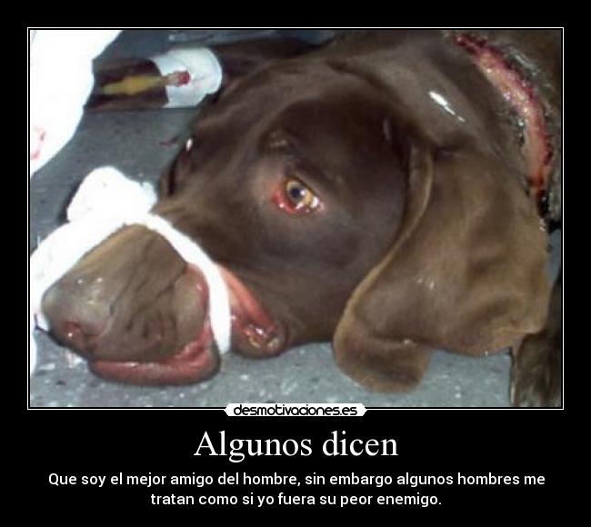 Algunos dicen - 