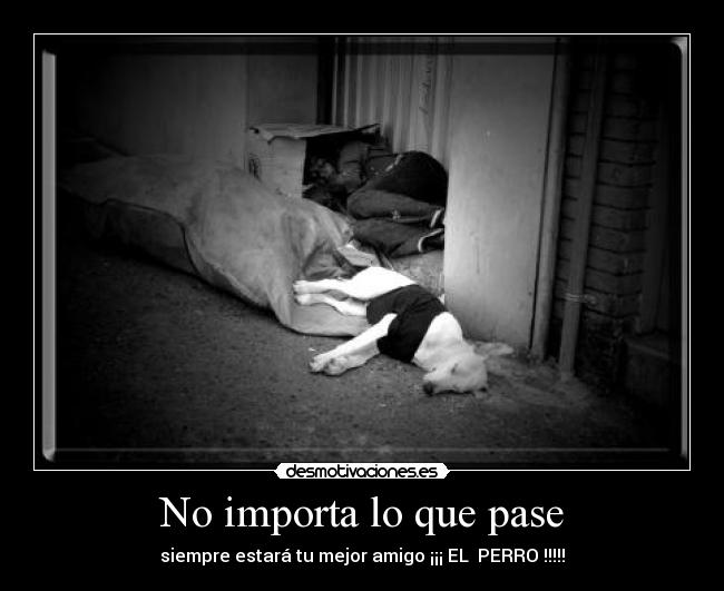 No importa lo que pase - siempre estará tu mejor amigo ¡¡¡ EL  PERRO !!!!!