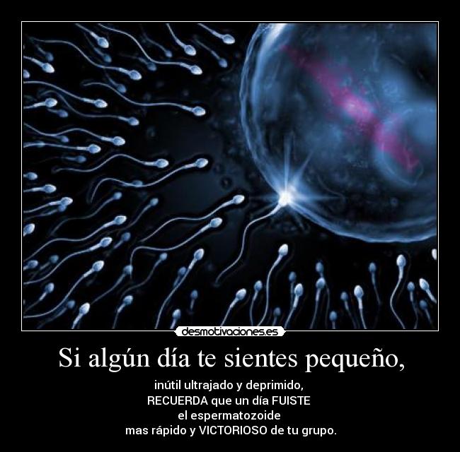 Si algún día te sientes pequeño, - inútil ultrajado y deprimido,
RECUERDA que un día FUISTE
el espermatozoide
mas rápido y VICTORIOSO de tu grupo.