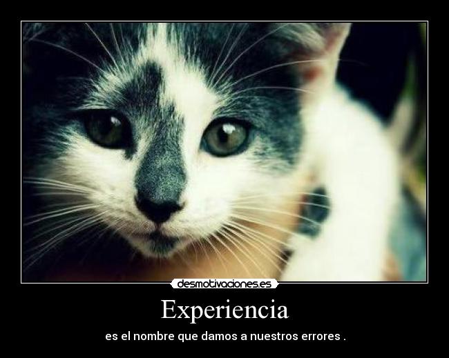 Experiencia -