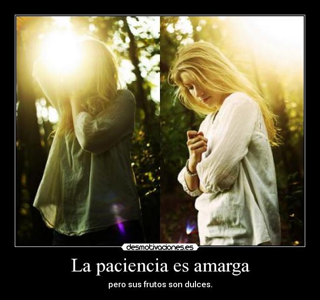 La paciencia es amarga - pero sus frutos son dulces.